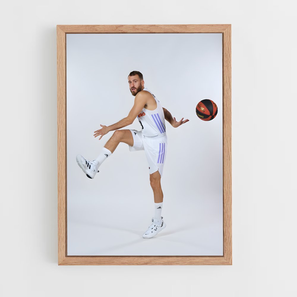 Poster Sergio Rodriguez – affiche Basketball (vue 4)